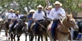 Solvang Independence Day Parade